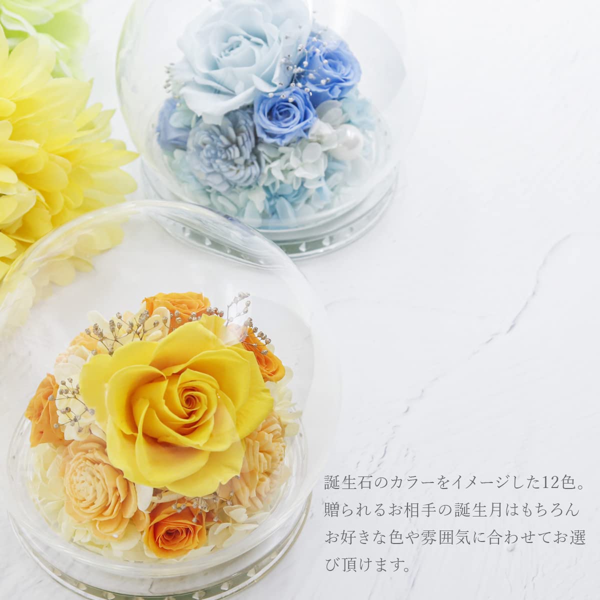Amazon｜プリザーブドフラワー ドーム ガラスドーム ローズ バラ